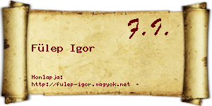 Fülep Igor névjegykártya
